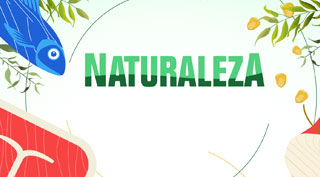 Alimentación y Salud: La Elección Del Consumidor