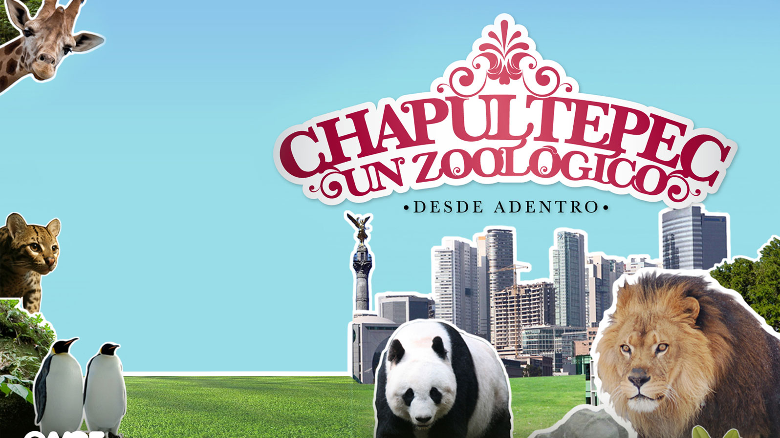 Chapultepec un Zoológico Desde Adentro