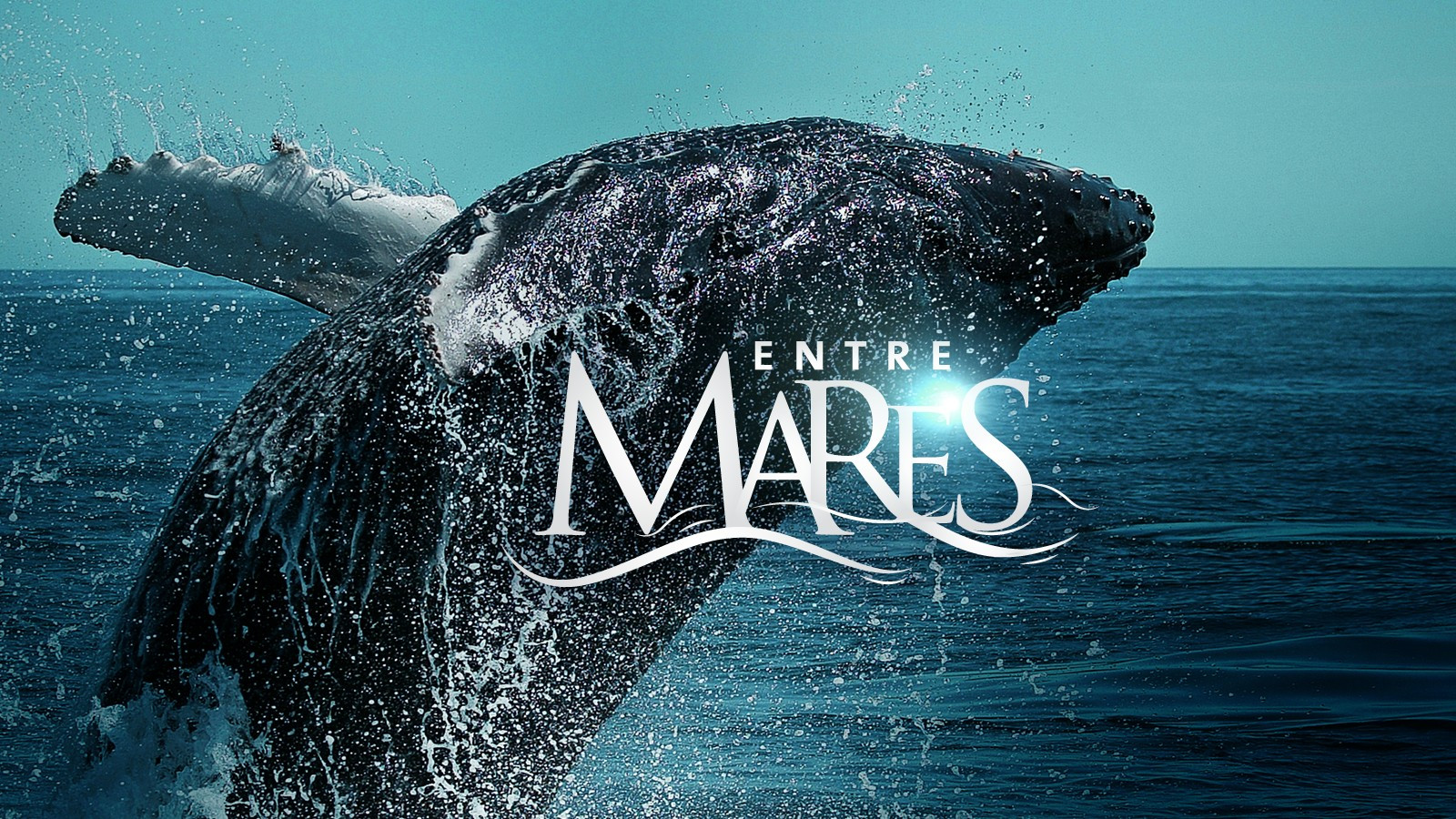 Entre Mares